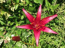 DSCF1447