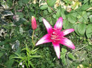 DSCF1457