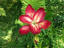 DSCF1469