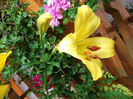 DSCF1502