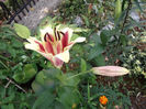 DSCF1512