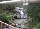 IMG_0545