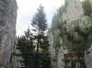 IMG_0551