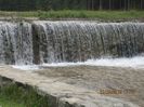IMG_0569