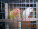 DSCN0004