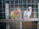 DSCN0005