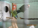 DSCN0008