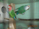 DSCN0009