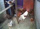 IMG00844-20130825-1438