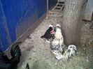 IMG00847-20130825-1439
