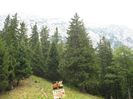 IMG_2825