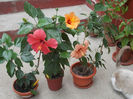 DSCN9897_5350