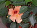 DSCN0027_5479