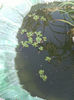 IMG_20130818_165331