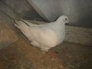 DSC00039