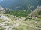 IMG_0229