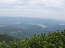 IMG_0236