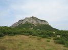 IMG_0245
