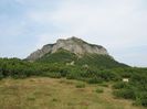IMG_0246