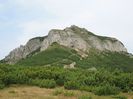 IMG_0247