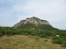 IMG_0248