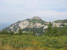 IMG_0267