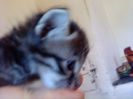 DSC00390