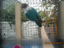 DSCN0013