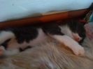 DSC00233