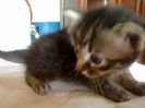 DSC00250