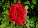 DSCN0223