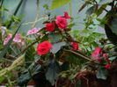 DSCN0286