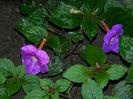 DSCN0288
