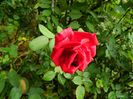 DSCN0304