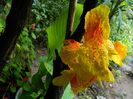 DSCN0306