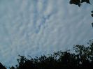 DSCN0316