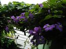 DSCN0341