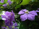 DSCN0344
