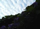 DSCN0346