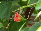 DSCN0361