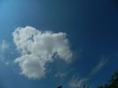 DSCN0379