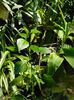 DSCN0387