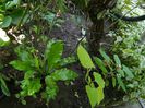 DSCN0397