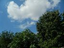 DSCN0408