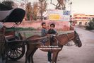 india_transport_horse2_jpg