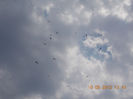 DSCN0107