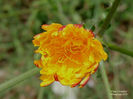RSCN5883