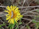 RSCN5959
