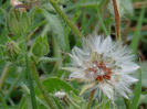 RSCN5860