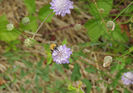 DSCN5884